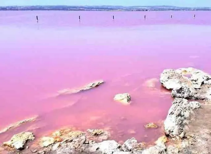 Апартаменты Cozy With Port View *